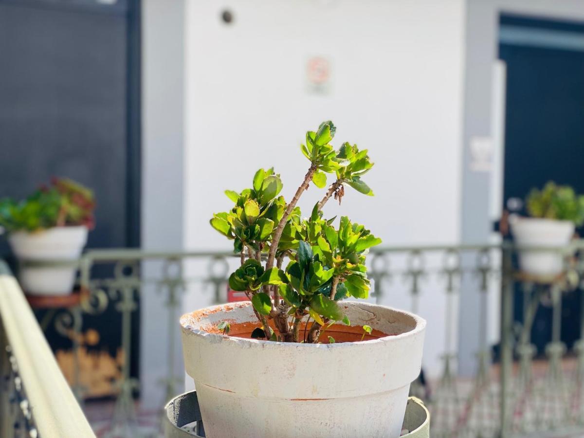 Kuku Ruku Hotel Querétaro Buitenkant foto